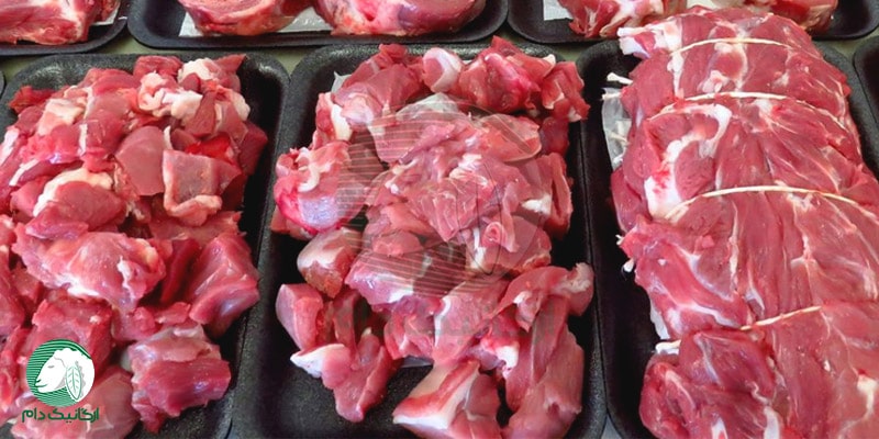 چند درصد وزن دام گوشت خالص است؟