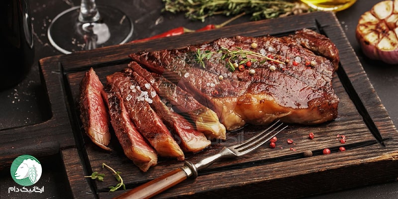 آیا برای جذب پروتئین حتماً باید گوشت بخوریم؟