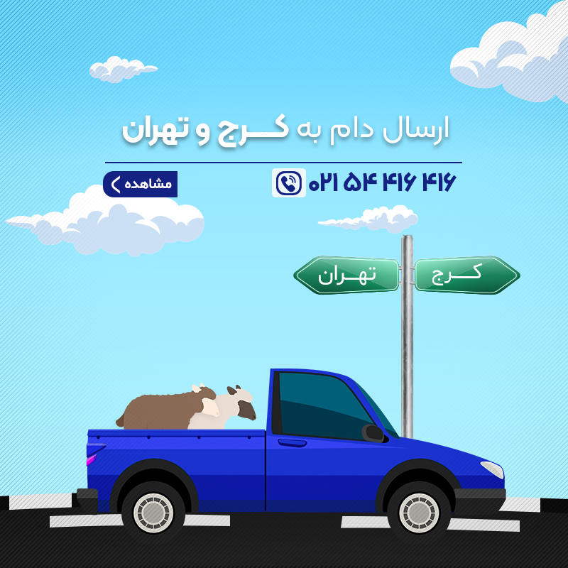 ارسال دام به تهران و کرج