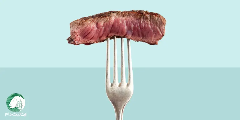 آیا رژیم گوشتخواری به کاهش وزن کمک می کند؟